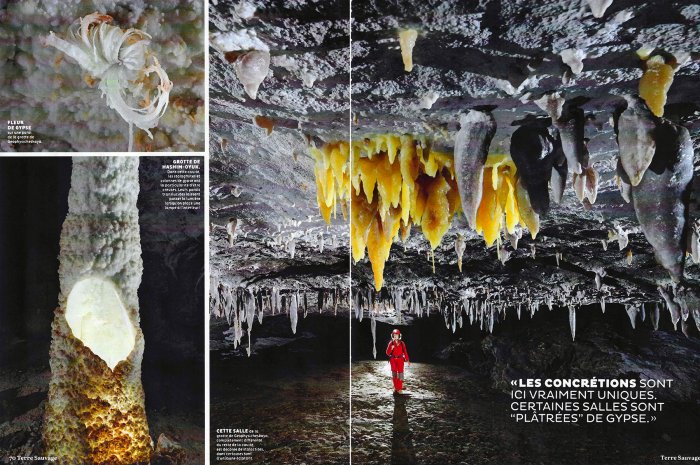 Terre Sauvage n°430 (novembre 2024) - Pages 70-71(Terre Sauvage n°430 - Pages 70-71)